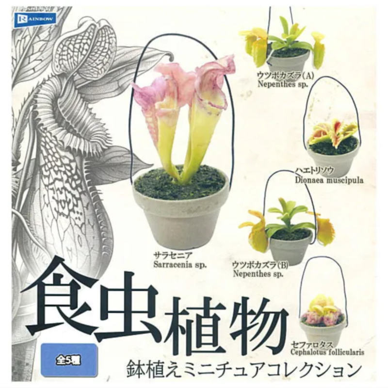 Japan Rainbow Gashapon Capsule - Capsule Toy Gashapon recensie en prijs