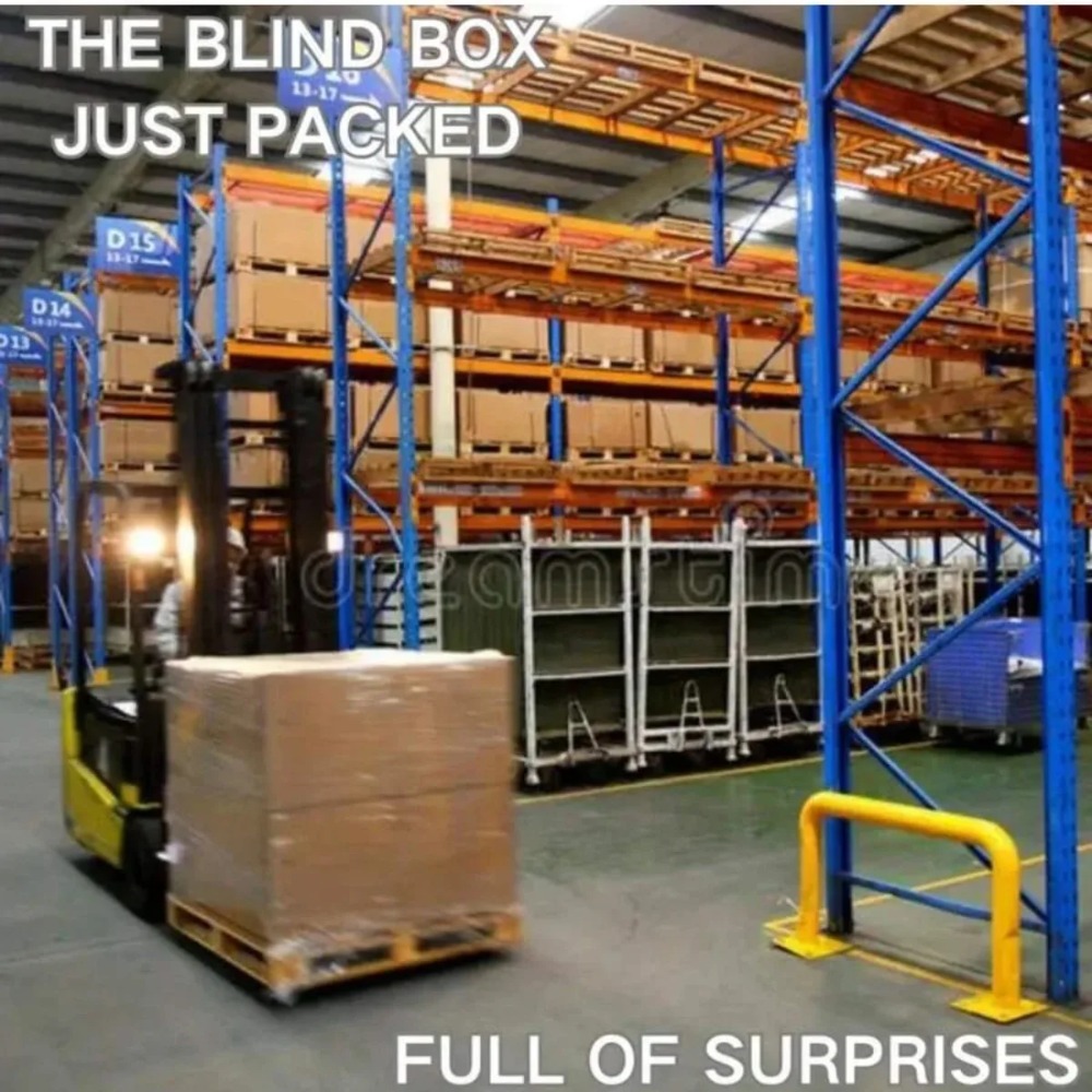 Super Surprise Mystery Box Ran - Mystery Box Blind Bag recensie en prijs